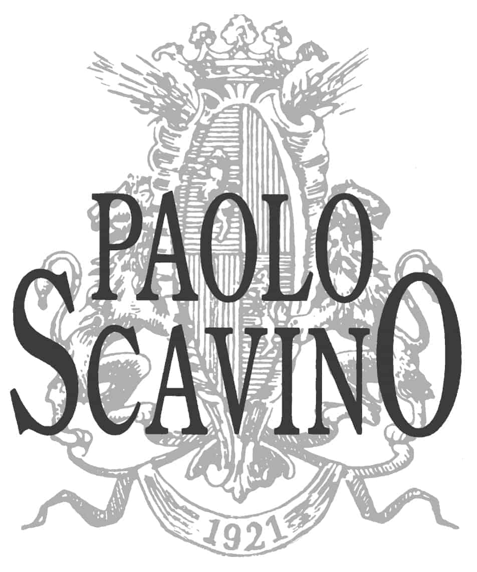 Paolo Scavino Wine Tasting